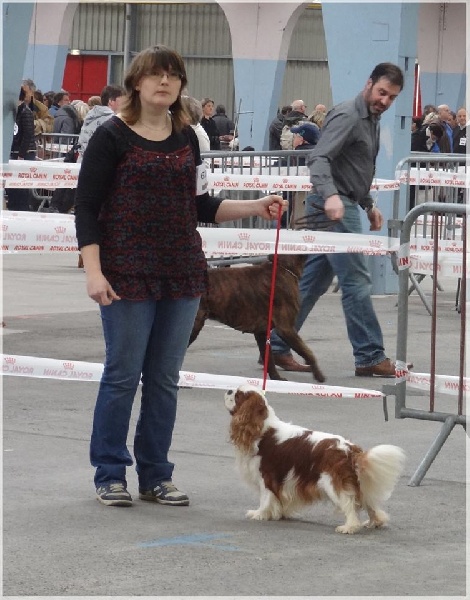 For a dream de Castelburry - 2ème Excellent / RCAC (classe ouverte)