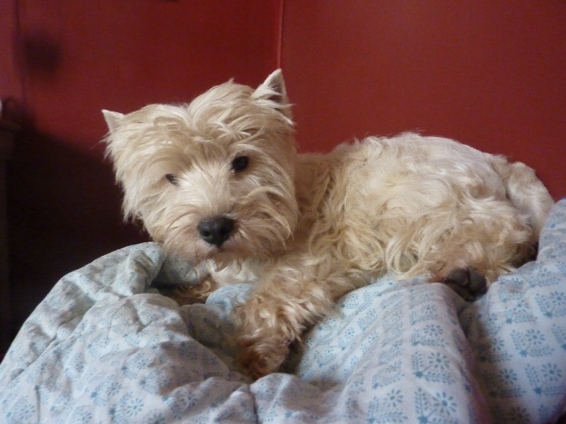 Publication : Du domaine de fayet