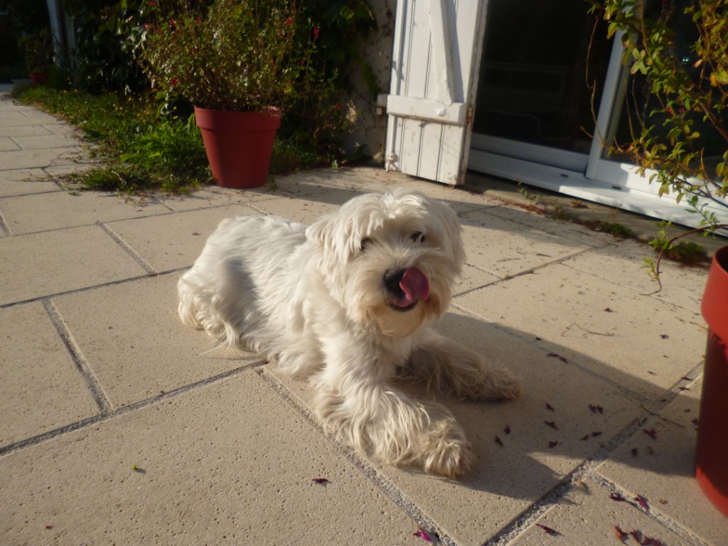 Publication : Du domaine de fayet Auteur : misslou 2 mois