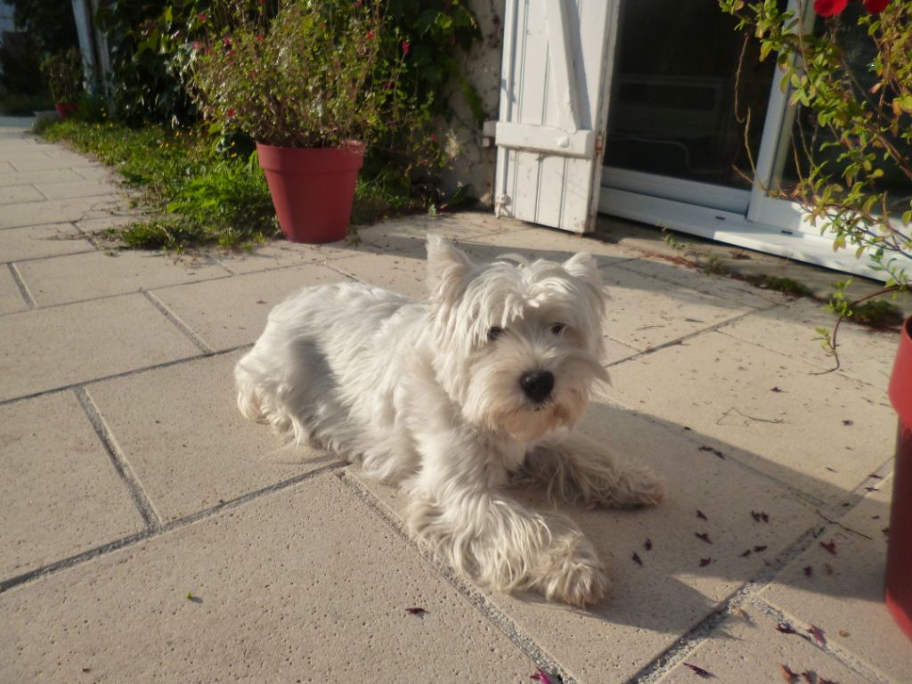 Publication : Du domaine de fayet Auteur : misslou 2 mois