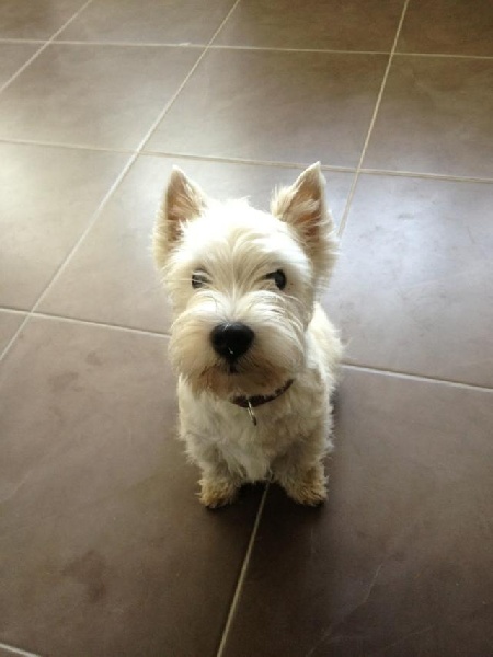 Publication : Du domaine de fayet