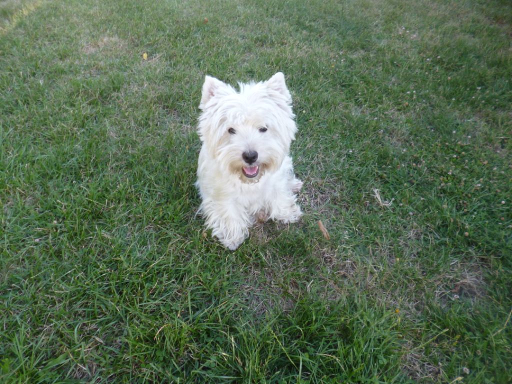 Publication : Du domaine de fayet Auteur : misslou 2 mois