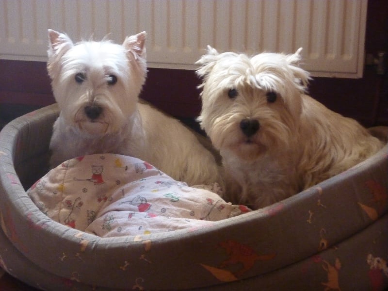 Publication : Du domaine de fayet