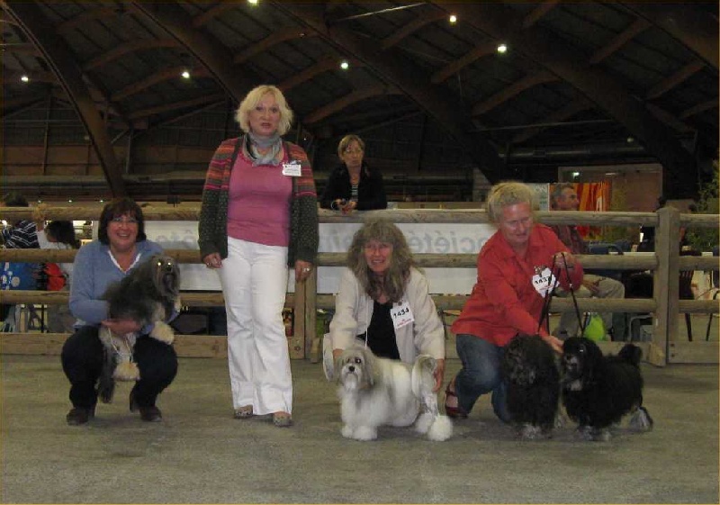 CH. Foll'envie Del Pech Tolosan - CACS