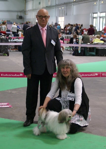 CH. Foll'envie Del Pech Tolosan - CACS-CACIB- Meilleur de Race