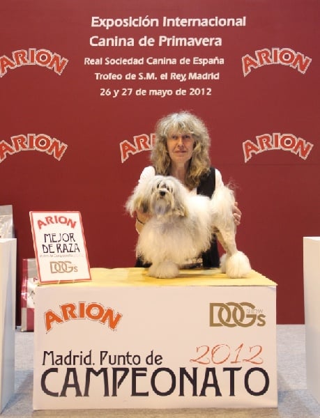 CH. Foll'envie Del Pech Tolosan - CAC-CACIB Meilleur de Race