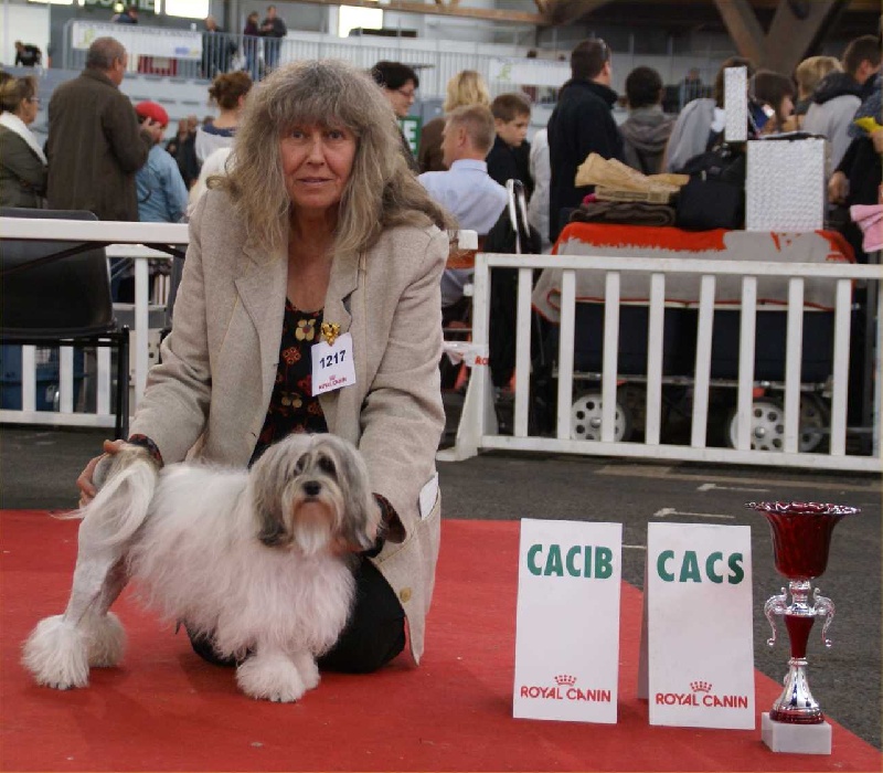 CH. Foll'envie Del Pech Tolosan - CACS-CACIB- Meilleur de Race