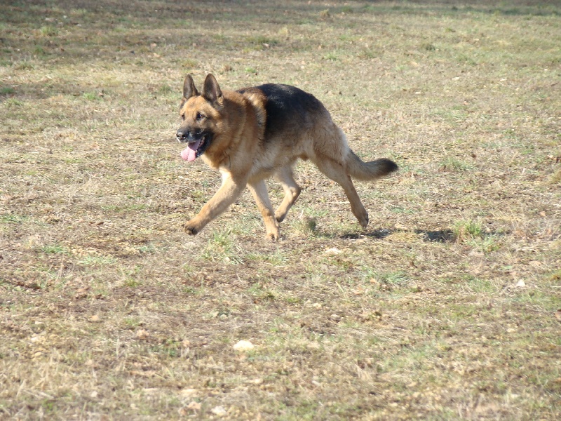 Publication : de la vallée de tatanka