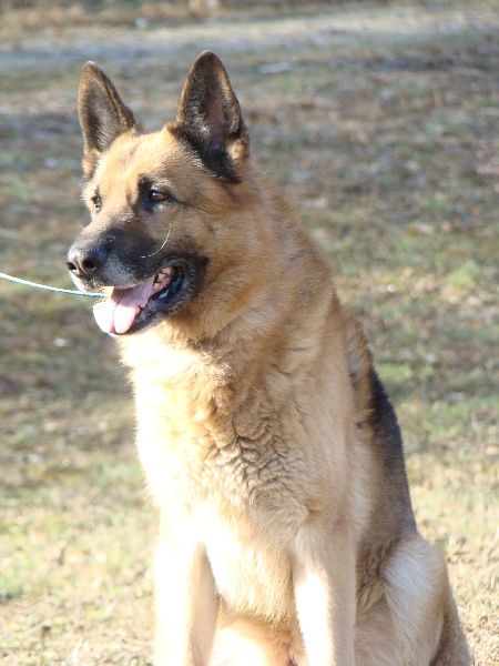 Publication : de la vallée de tatanka