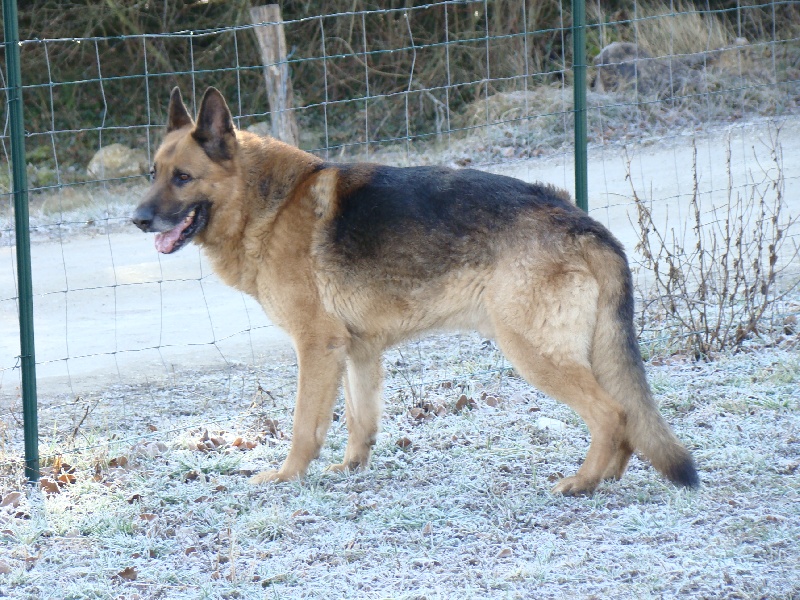 Publication : de la vallée de tatanka