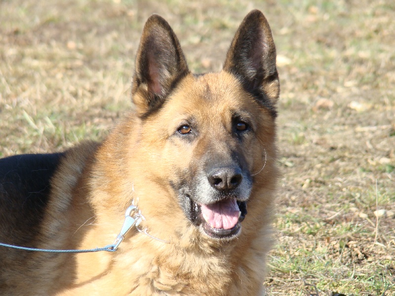 Publication : de la vallée de tatanka