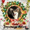 - Joyeuses Fêtes