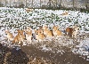 - Jour de neige
