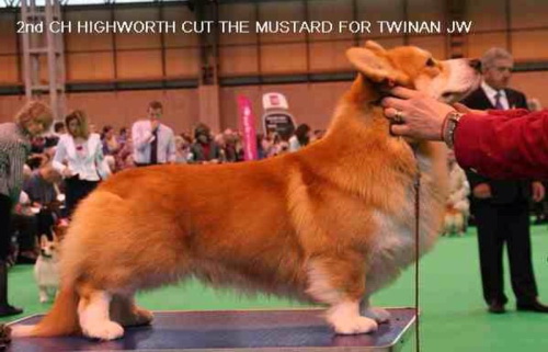 Publication : La caverne des anges Auteur : Mme IRVING