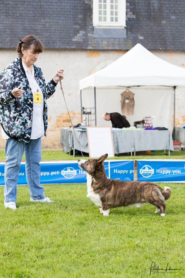 CH. Pi-et-ra borntobe tango of trefilio