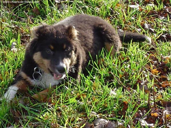 Publication : du Domaine Rosaris