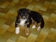 Publication : du Domaine Rosaris