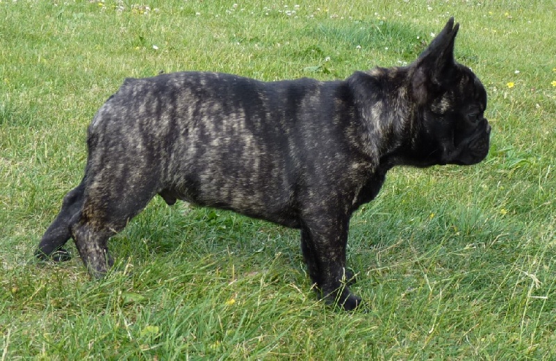 Publication : du Domaine Rosaris Auteur : JAMAR Ariane