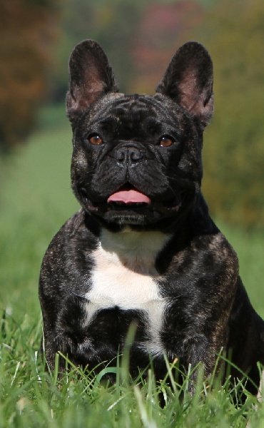 Publication : du Domaine Rosaris Auteur : Vanessa Grossemy