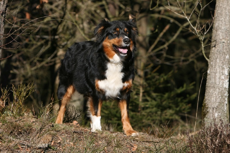 Publication : du Domaine Rosaris