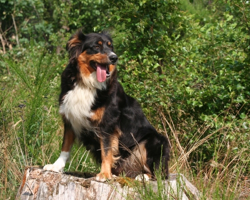 Publication : du Domaine Rosaris