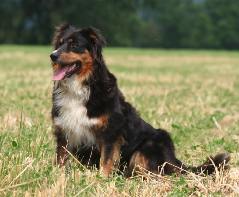 Publication : du Domaine Rosaris