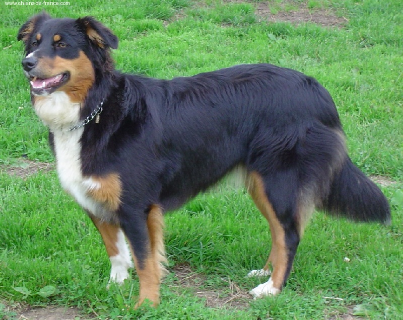 Publication : du Domaine Rosaris