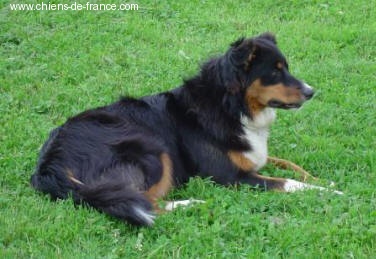 Publication : du Domaine Rosaris