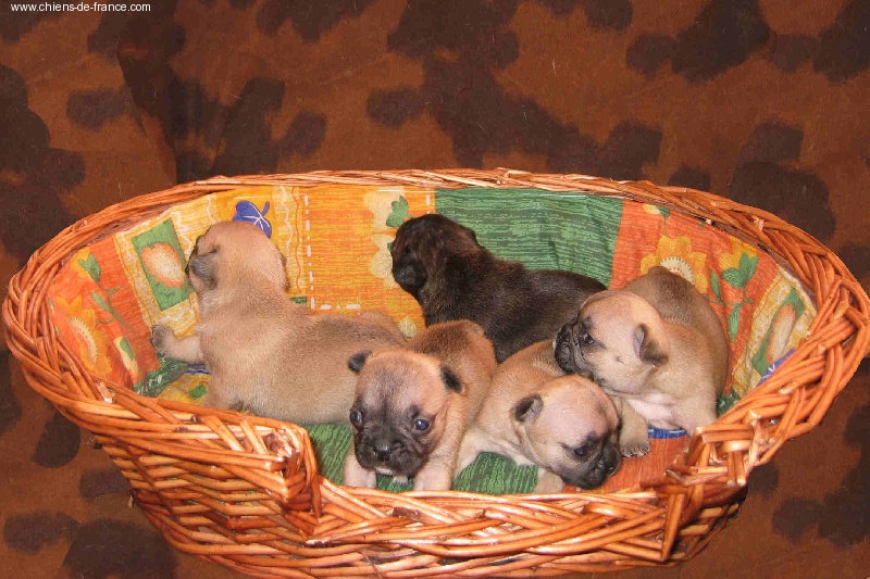 Publication : du Domaine Rosaris Auteur : Grossemy Vanessa