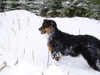 Publication : du Domaine Rosaris