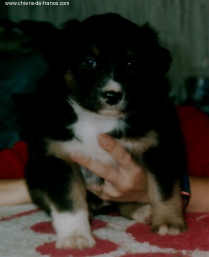 Publication : du Domaine Rosaris