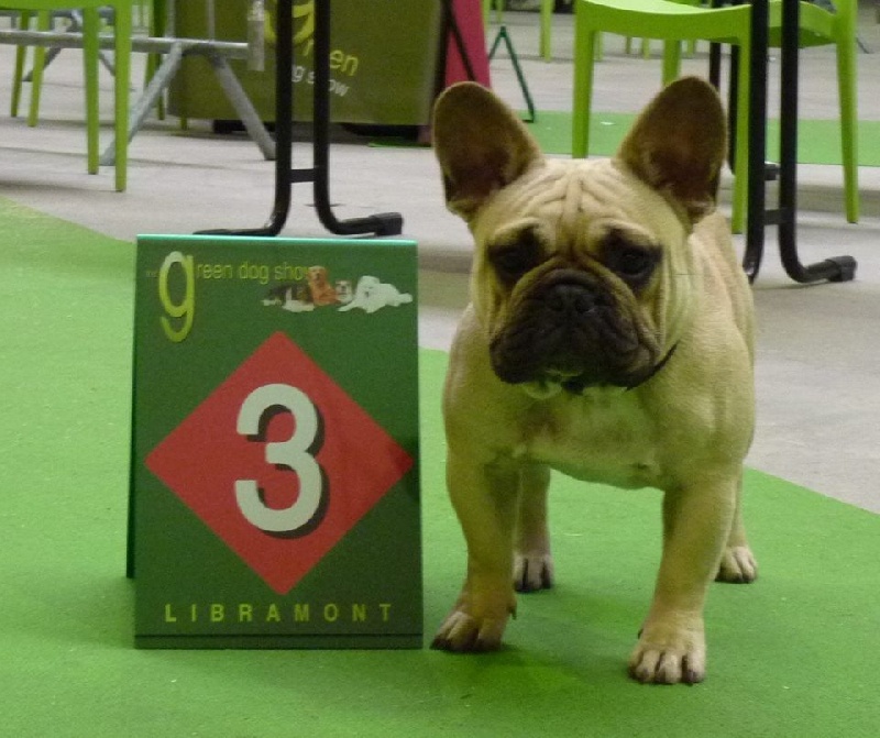 T'abaksihold aglaos - 3eme Excellent en classe Jeune