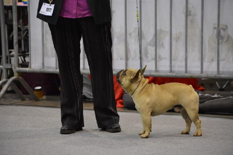 T'abaksihold aglaos - 2ème Excellent en Classe Intermédiaire