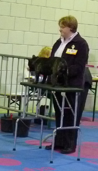 Jasmine du Domaine Rosaris - Excellent en classe Jeune