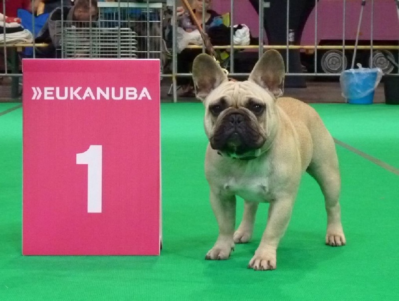 T'abaksihold aglaos - 1er Excellent en classe Jeune JCAC + RCAC