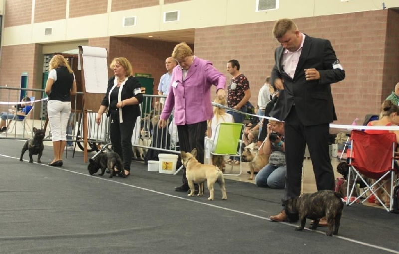 T'abaksihold aglaos - 1er Excellent en Classe Jeune JCAC + Meilleur Jeune + BOS