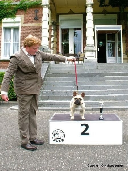 T'abaksihold aglaos - 2ème Très Prometteur