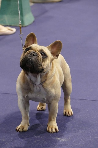 T'abaksihold aglaos - 4ème EXCELLENT en classe Ouverte