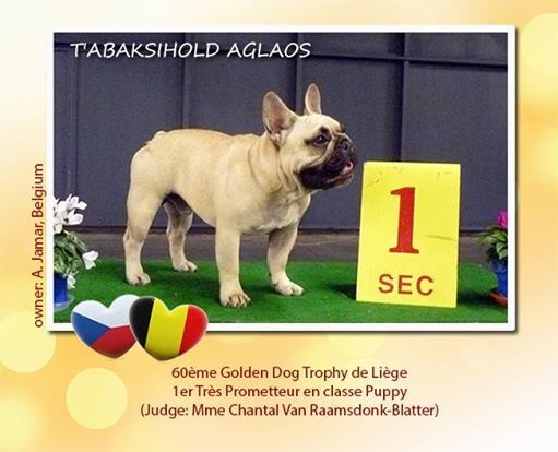 T'abaksihold aglaos - 1er Très Prometteur en classe Puppy