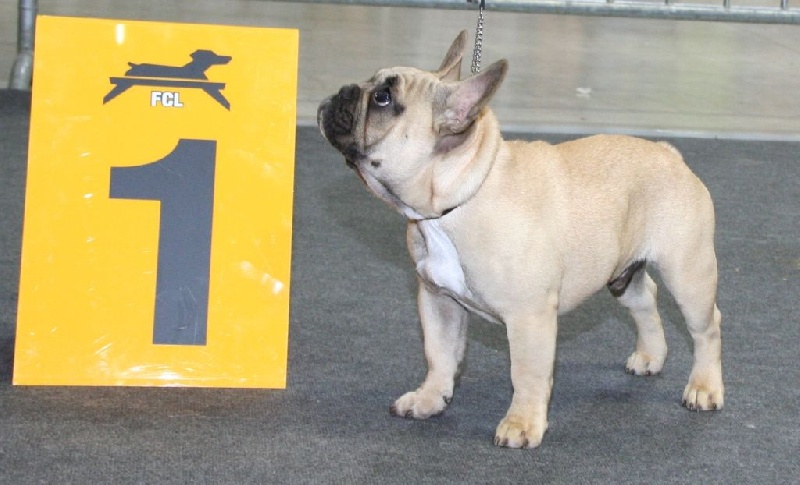 T'abaksihold aglaos - 1er Très Prometteur & Best Baby Male