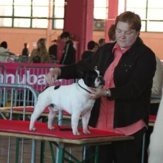 Barthès Du bois de saint-cyr - RCAC-RCACIB