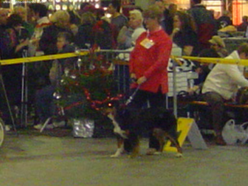 Canbera des Forces Vives - Classe jeune