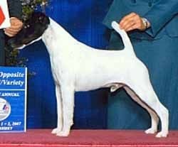 Publication : du Manoir Saint Adrien