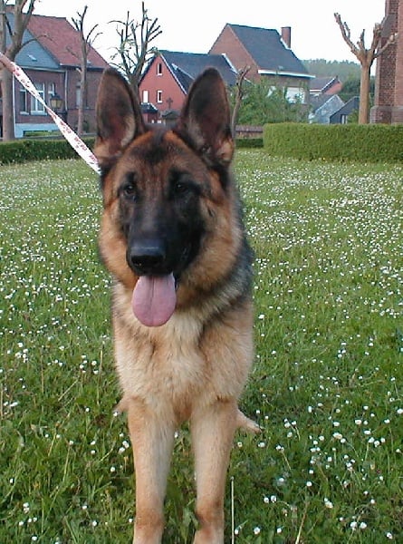 Publication : De La Beadrie