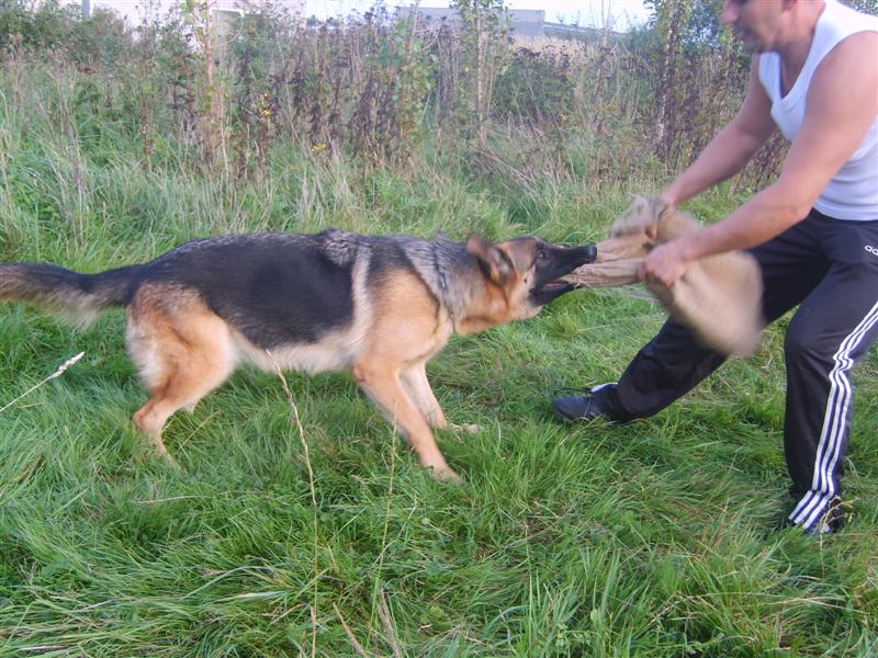 Publication : De La Beadrie