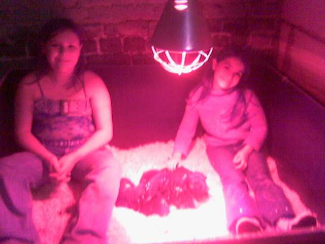 Publication : De La Beadrie