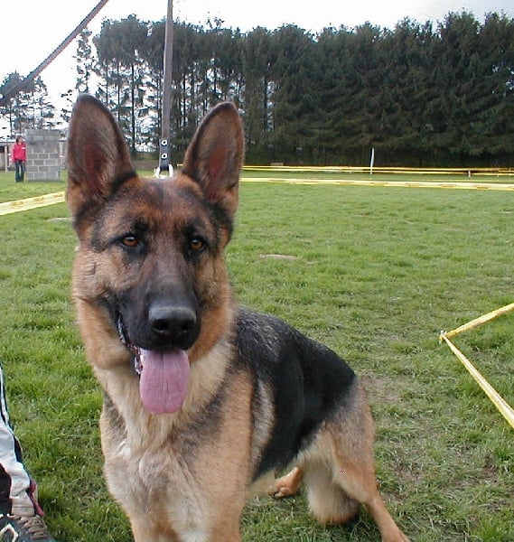 Publication : De La Beadrie