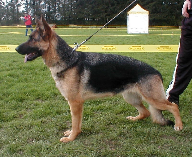 Publication : De La Beadrie