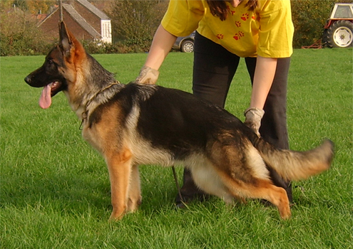 Publication : De La Beadrie