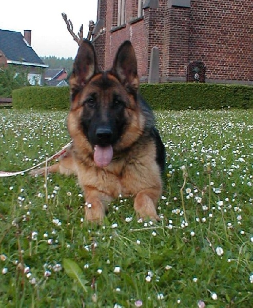 Publication : De La Beadrie